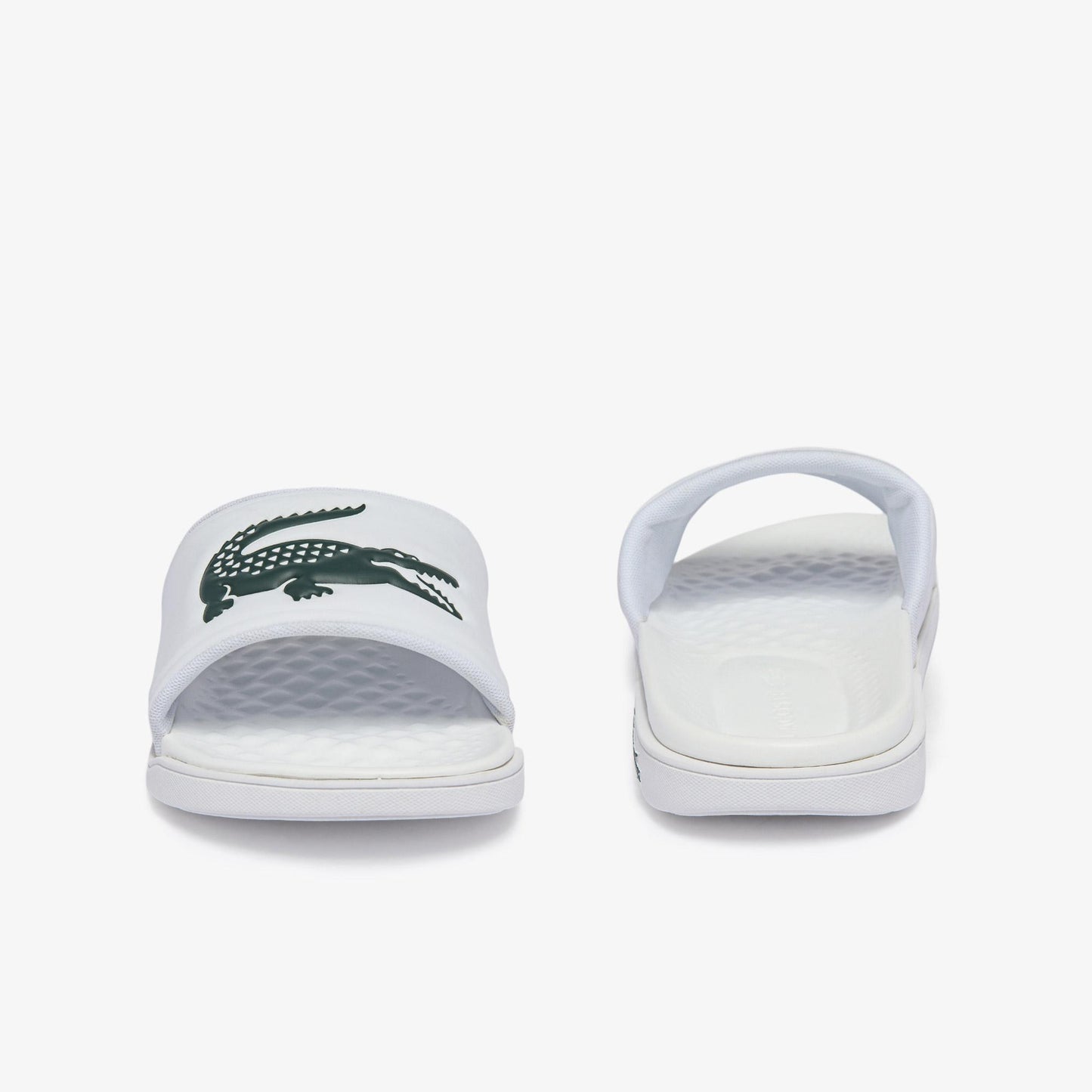 LACOSTE E01364-1R5