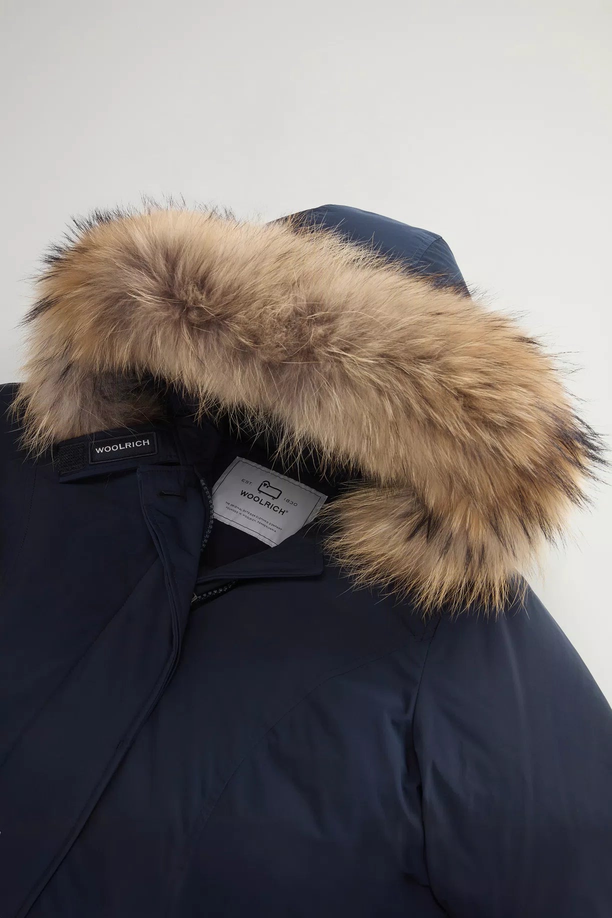LUXURY ARCTIC RACCOO