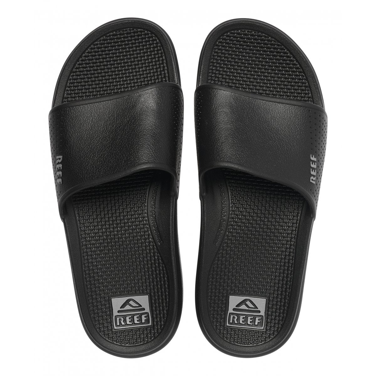 OASIS SLIDE