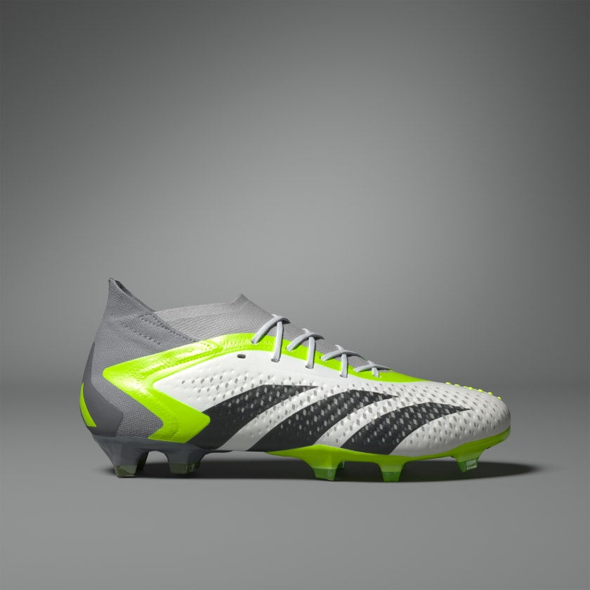 PREDATOR ACCURACY.1