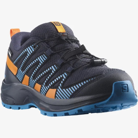 SHOES XA PRO V8 CSWP